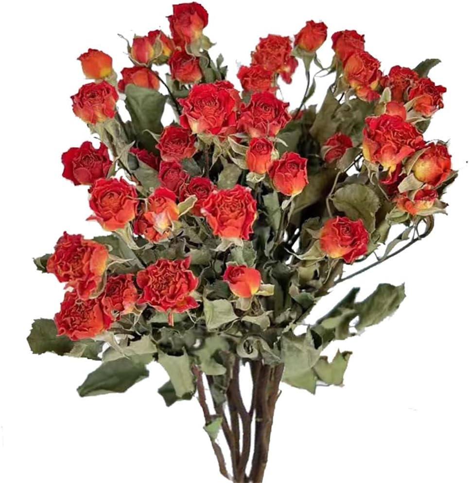 Natural Dried Orange Roses Bouquet for Wedding Decor