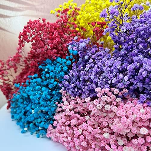 Preserved Babys Breath Flowers 3 Bunches Yellow for Decor