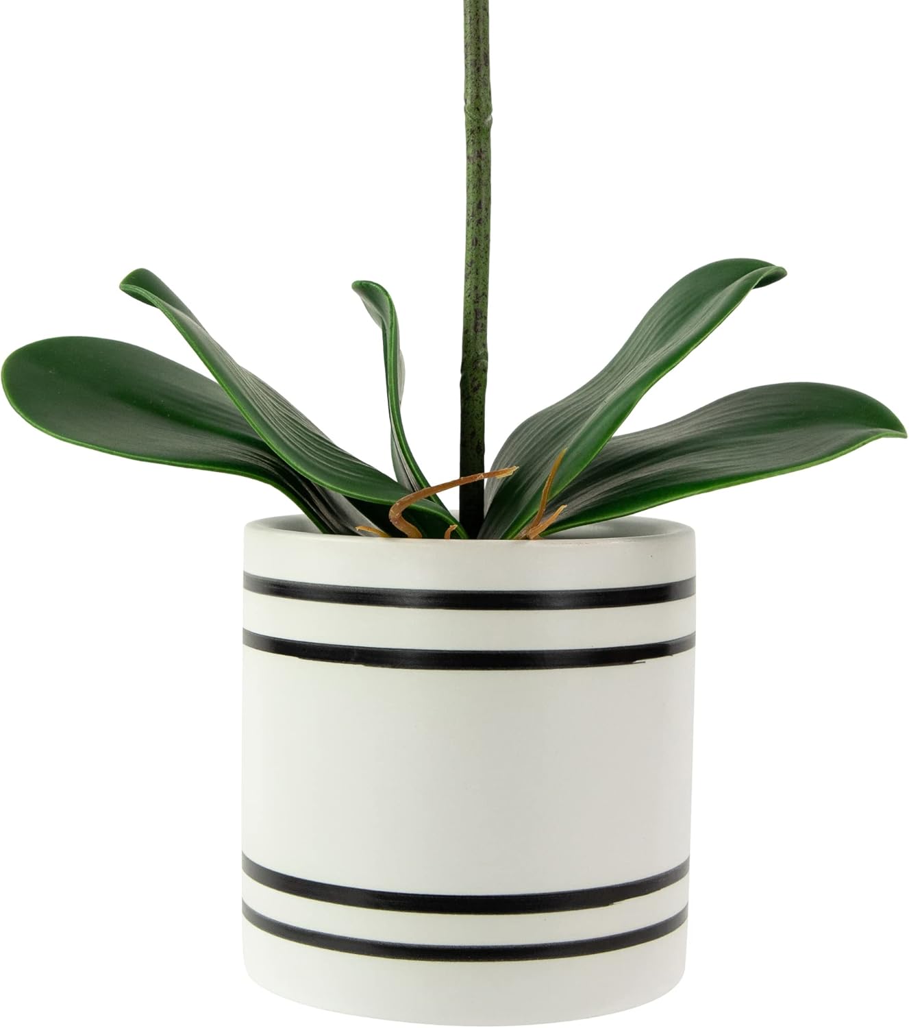 Northlight Real Touch Artificial Spring Orchids 2 Feet Pink