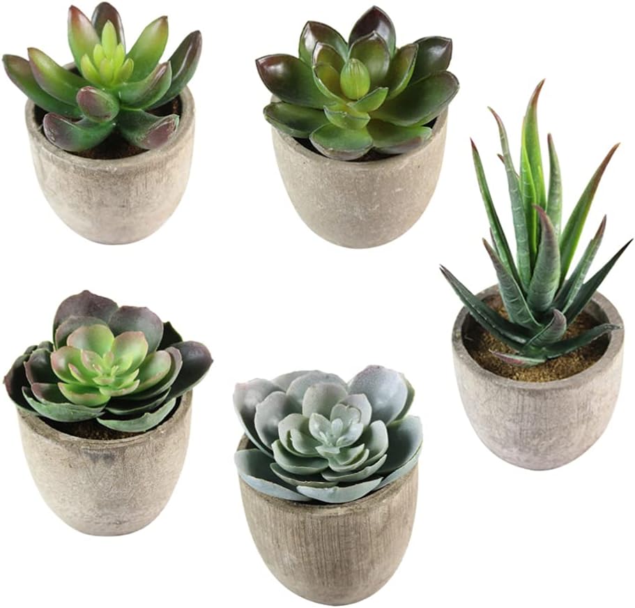 5pcs Artificial Succulent Plants Decorative Faux Plants