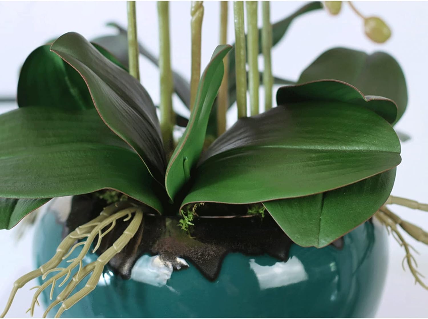 Realistic Artificial Orchid in Ceramic Pot with Gold Trim