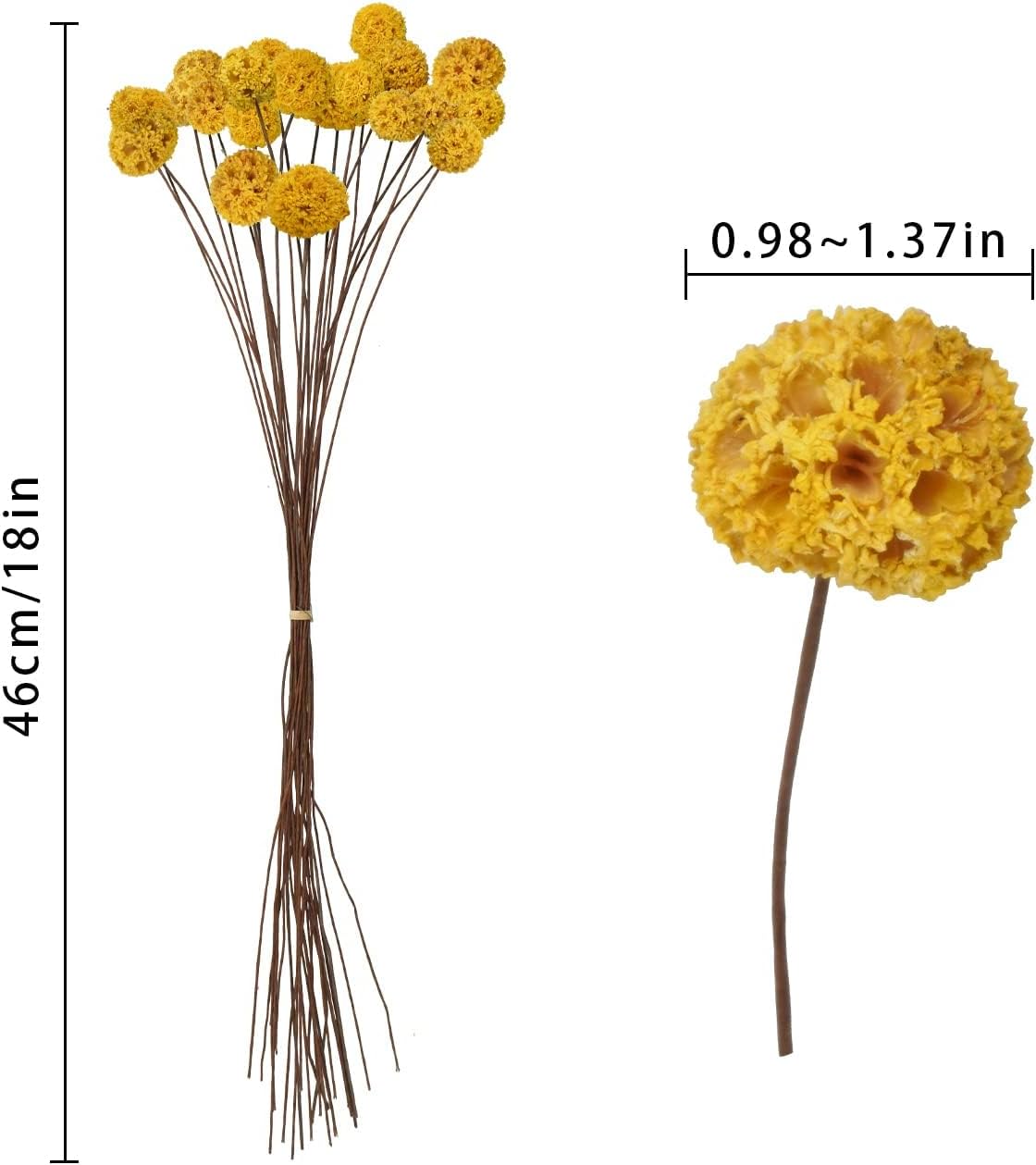 24 PCS Dried Craspedia Billy Balls Flowers Yellow