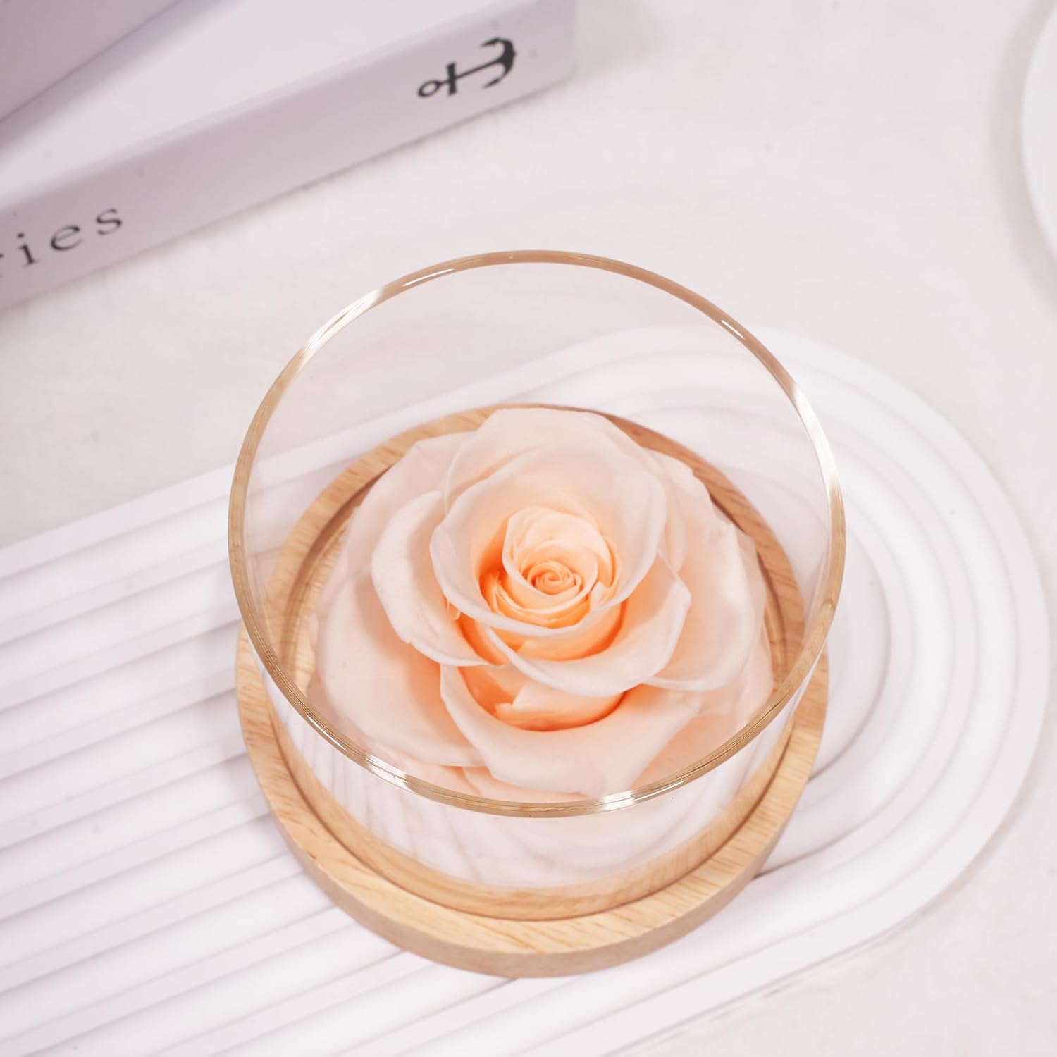MODCON Home Scent Rose Real Fragrance Lasts 4 Months Gift for Her