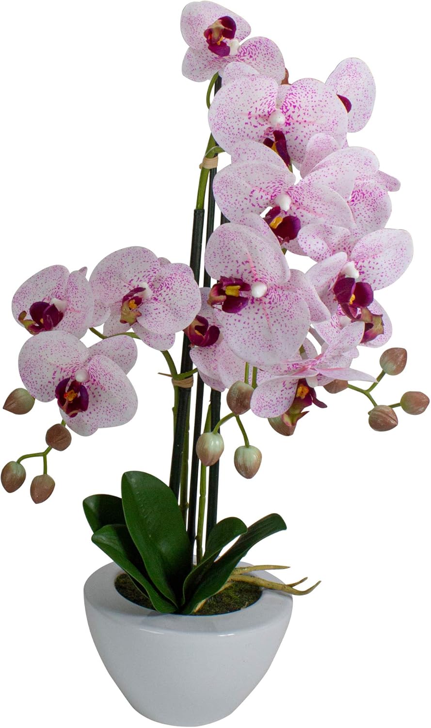 Northlight Artificial Orchid Plant in White Pot 21 Inch Pink
