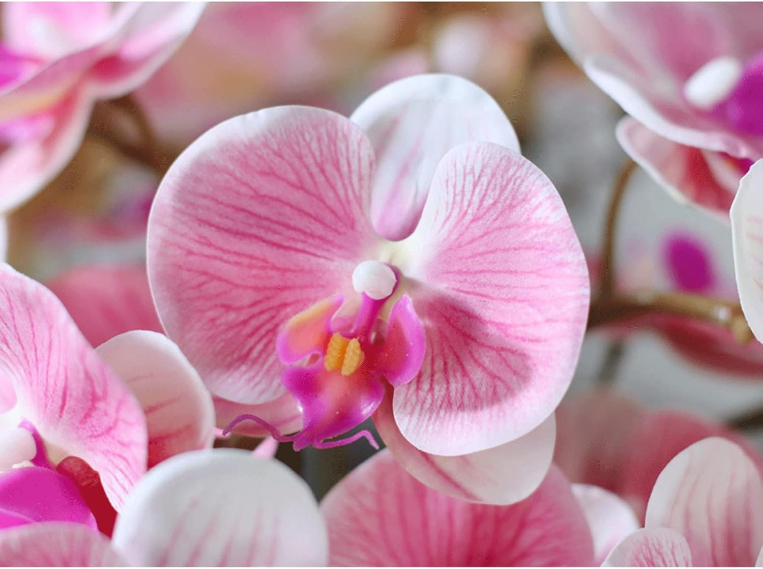 Realistic Artificial Orchid in Ceramic Pot with Gold Trim