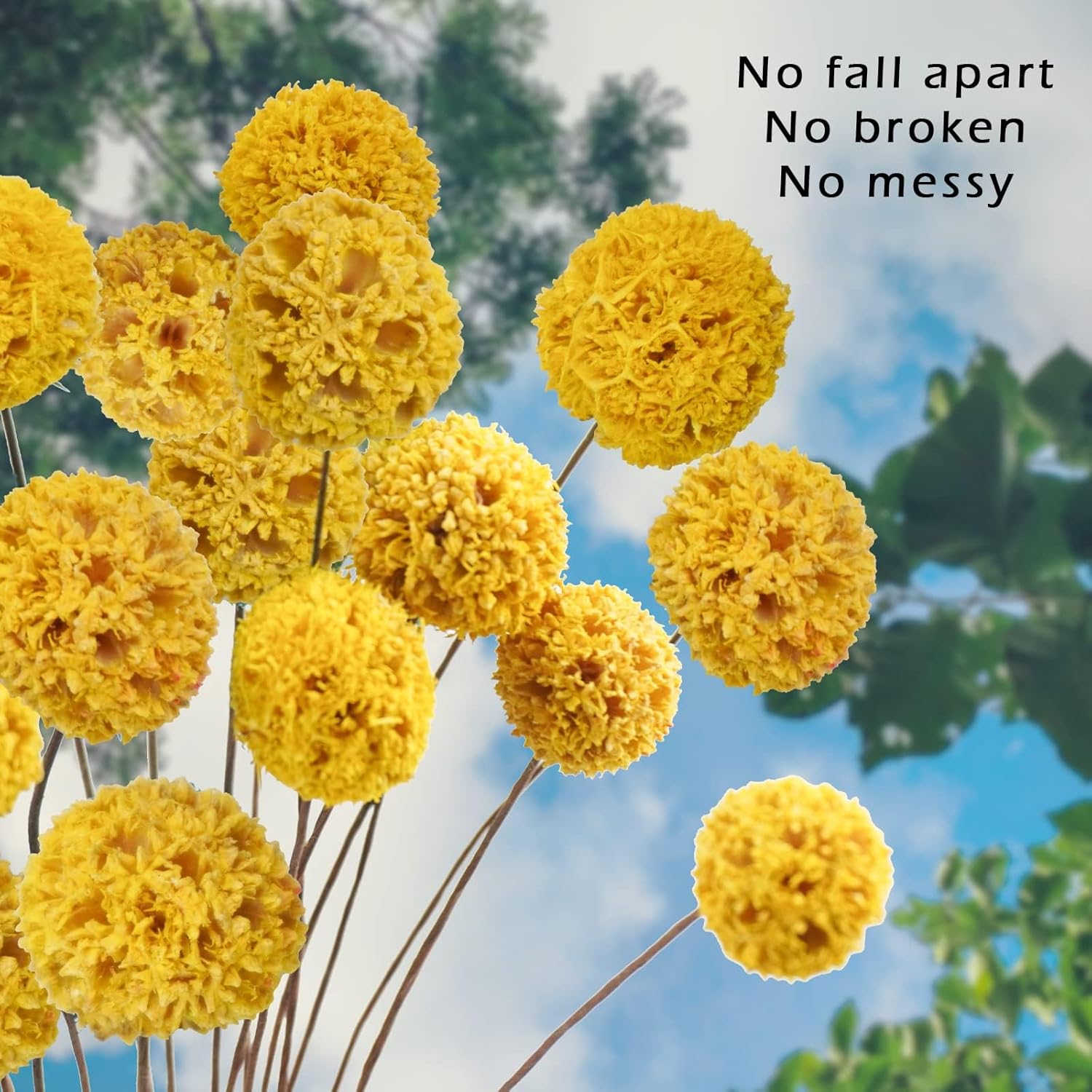 24 PCS Dried Craspedia Billy Balls Flowers Yellow