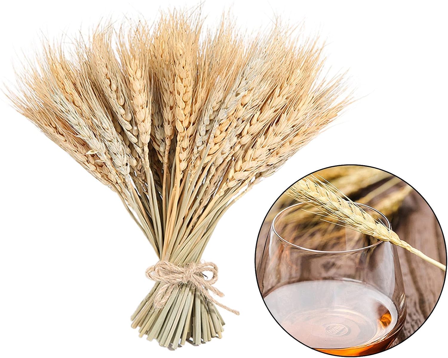 100 Pieces Dried Wheat for Flower Arrangements and Decor