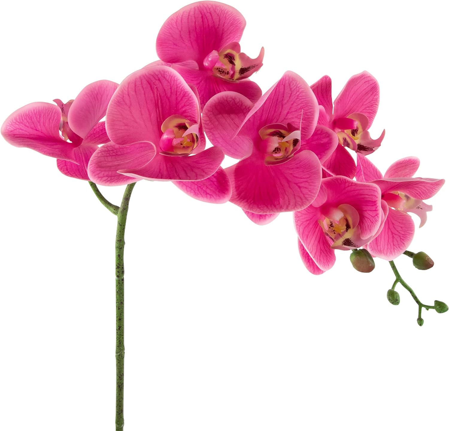 Northlight Real Touch Artificial Spring Orchids 2 Feet Pink