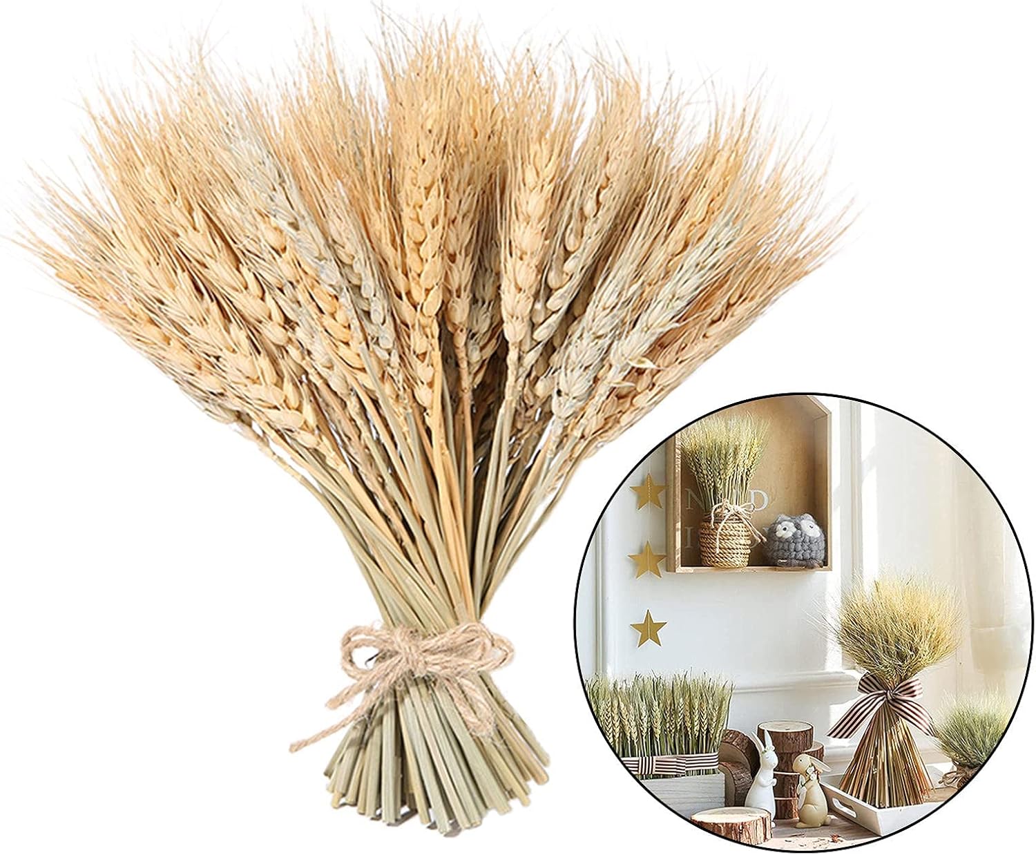 100 Pieces Dried Wheat for Flower Arrangements and Decor