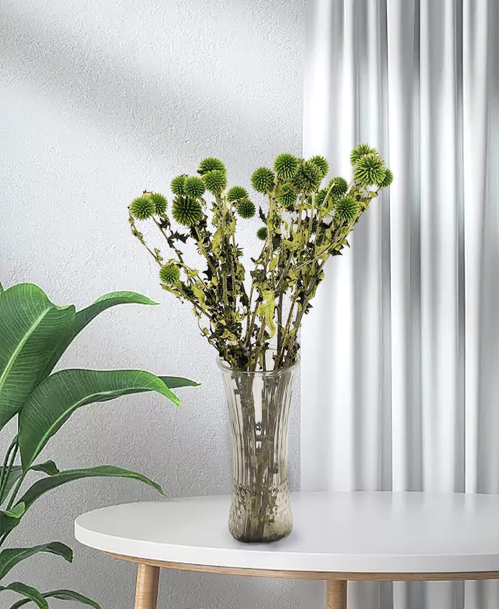 DongArts Preserved Echinops Globe Thistle Flowers