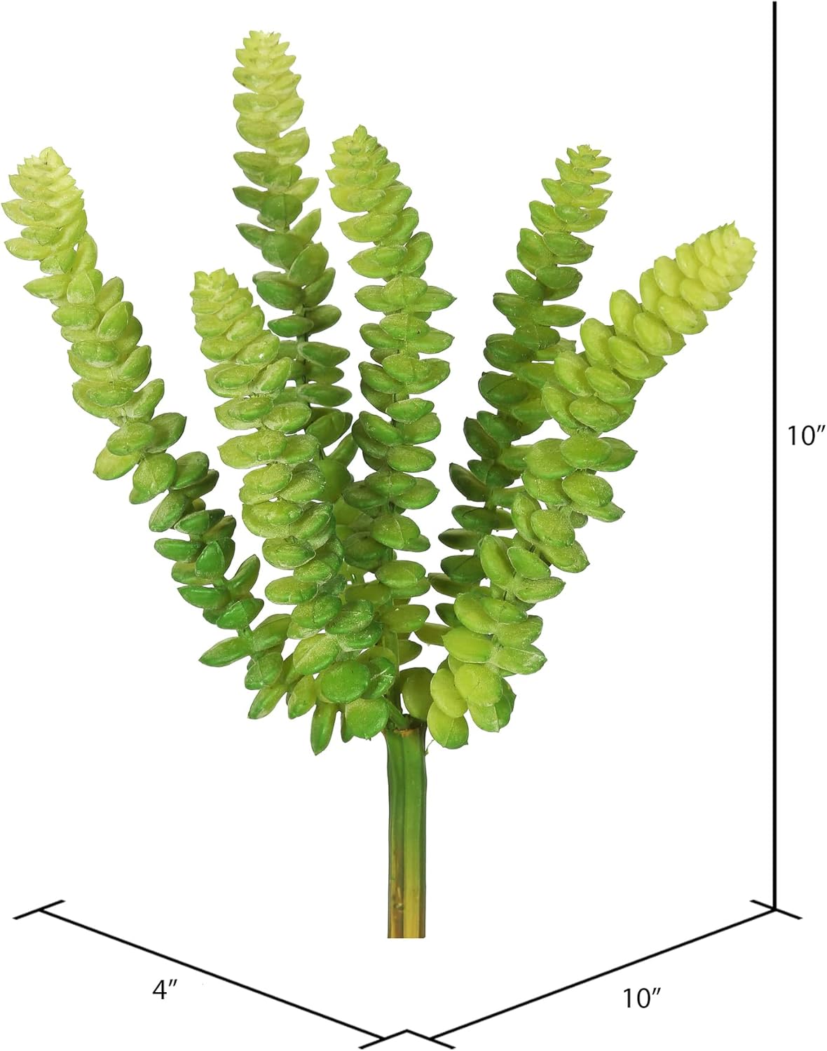 Vickerman Everyday 10 Inch Artificial Green Stem With Soft Plastic Leaves