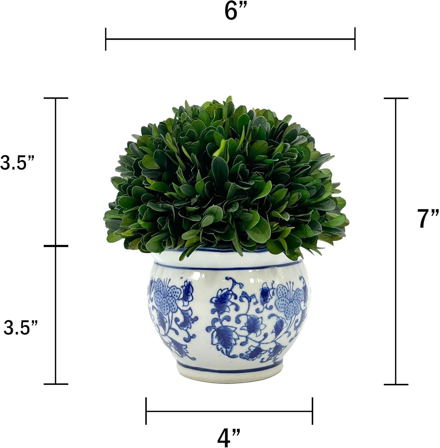 Galt International 7 Inch Preserved Boxwood Ball in Blue White Pot Planter