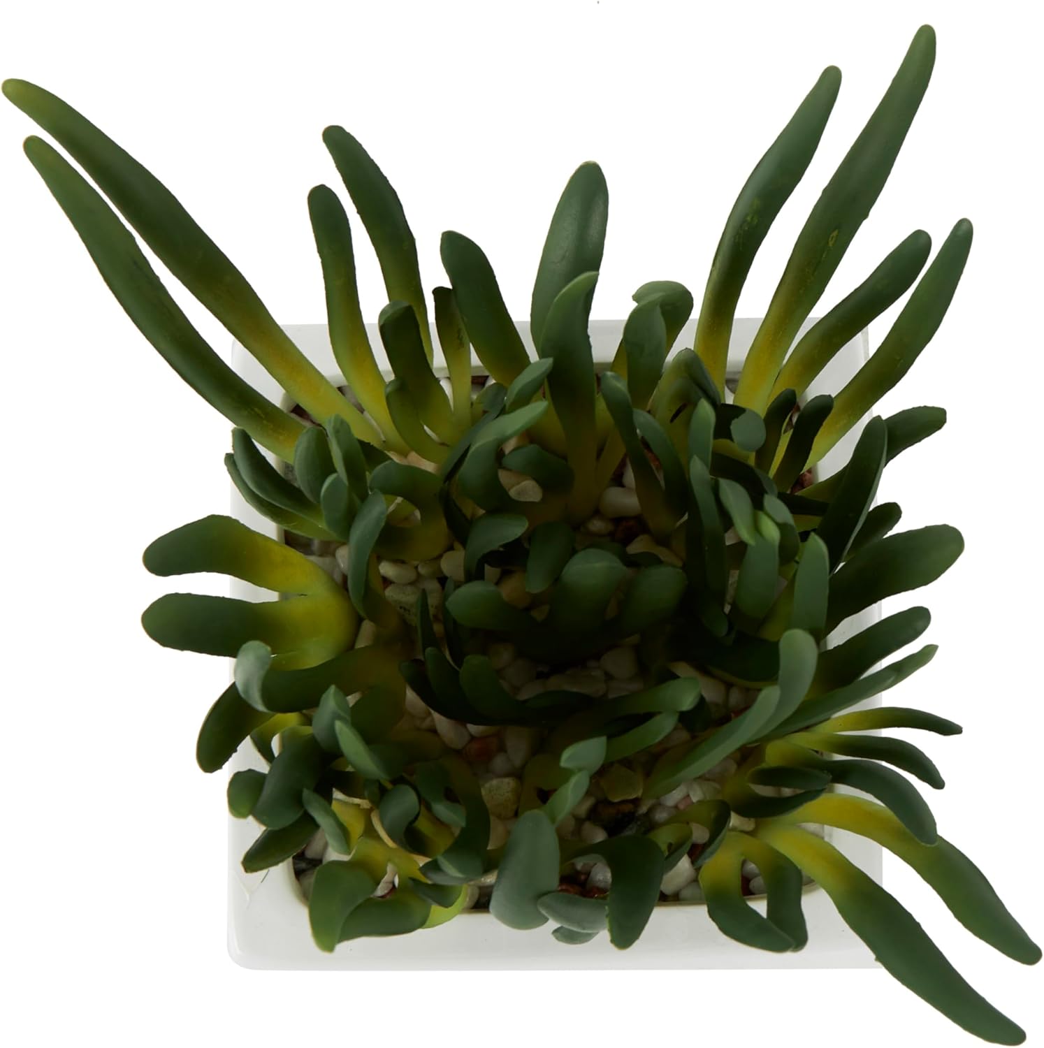 Deco 79 Artificial Plant with White Ceramic Pot 8x6x8 Inches Green