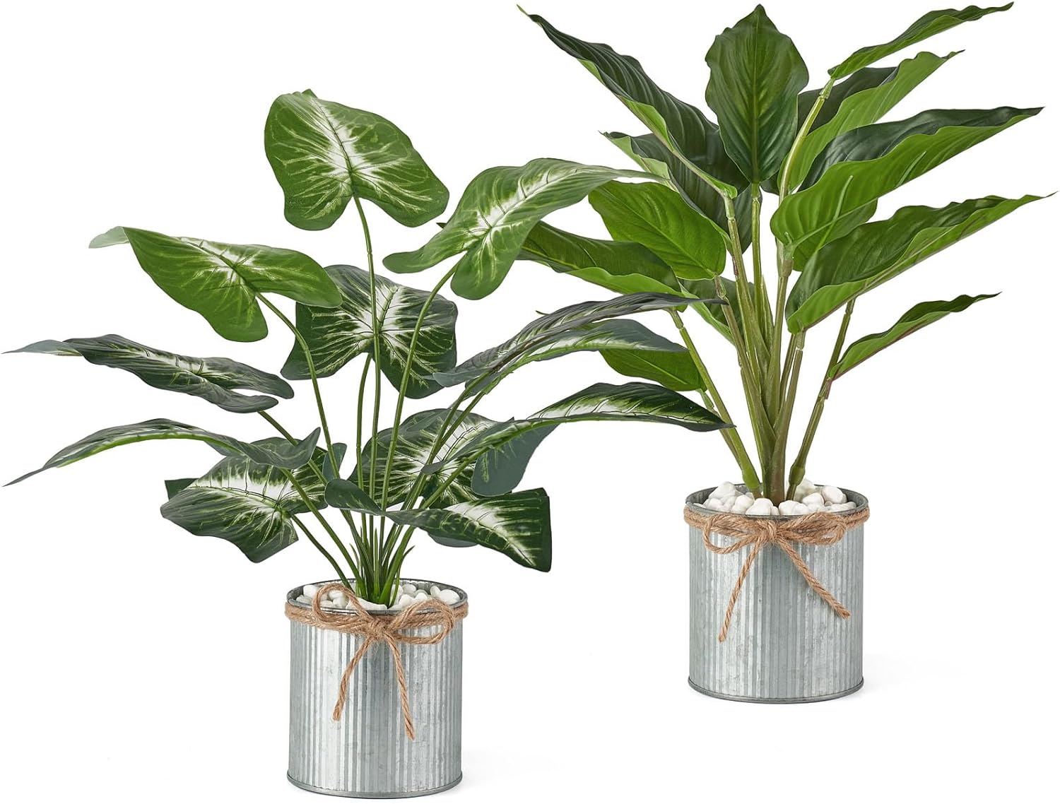Mkono Artificial Succulent Plants 2 Pack in Glass and Farmhouse Pots