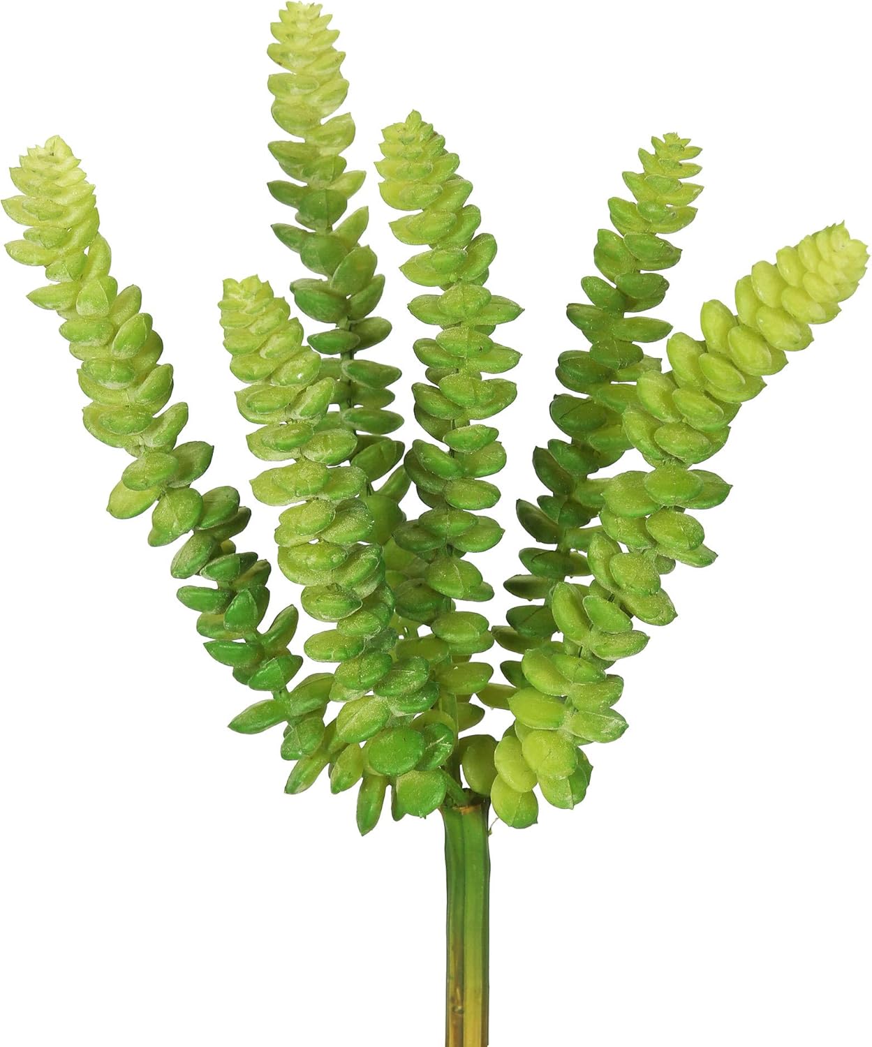 Vickerman Everyday 10 Inch Artificial Green Stem With Soft Plastic Leaves