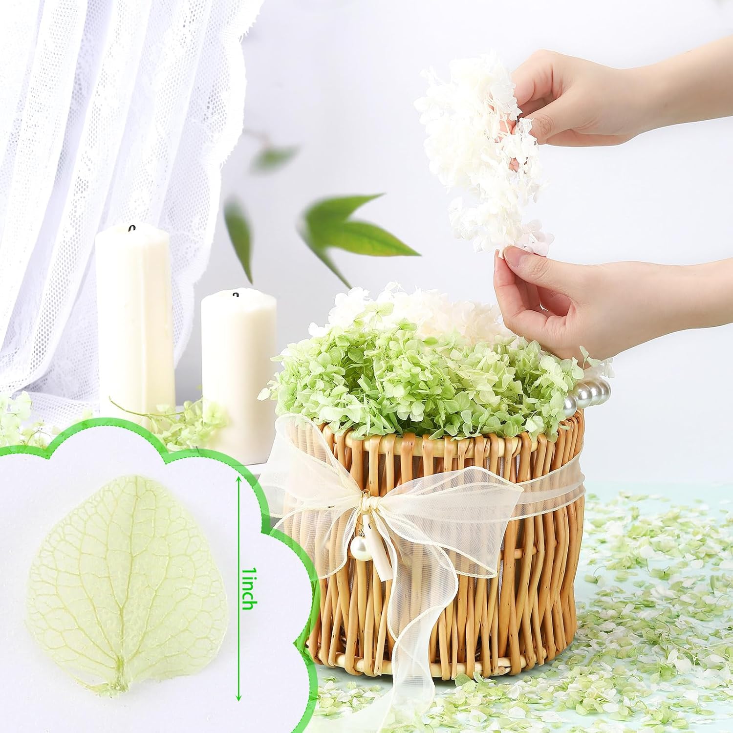 Real Dried Hydrangea Petals White and Green 21 Oz Pack