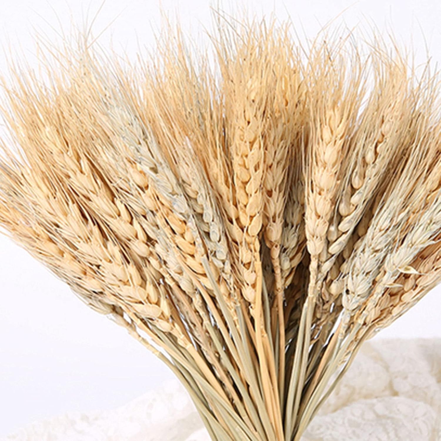 100 Pieces Dried Wheat for Flower Arrangements and Decor