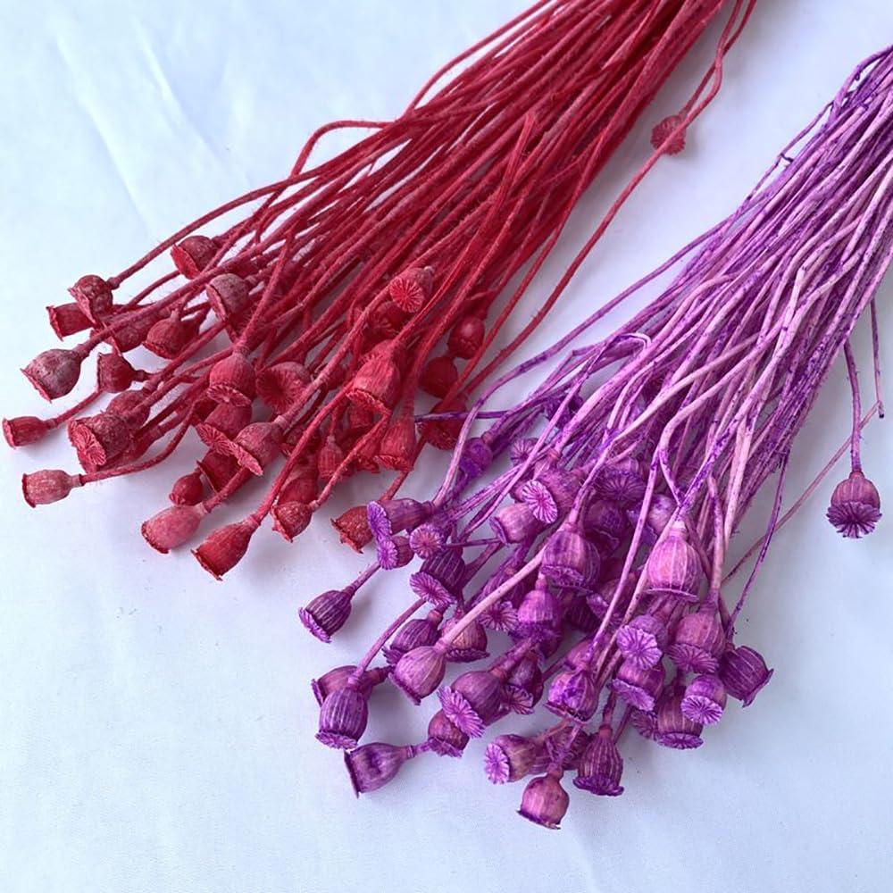 40PCS Dried Flowers 1378-1575 Inch Artificial Floral Arrangements