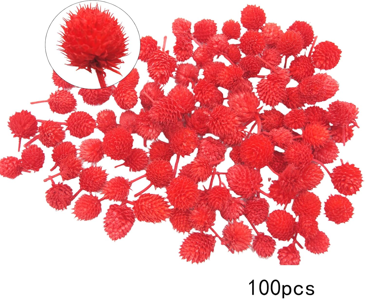 JOJAZE 100 Pcs Dried Flower Heads for Crafts Red Globe Dried Flowers