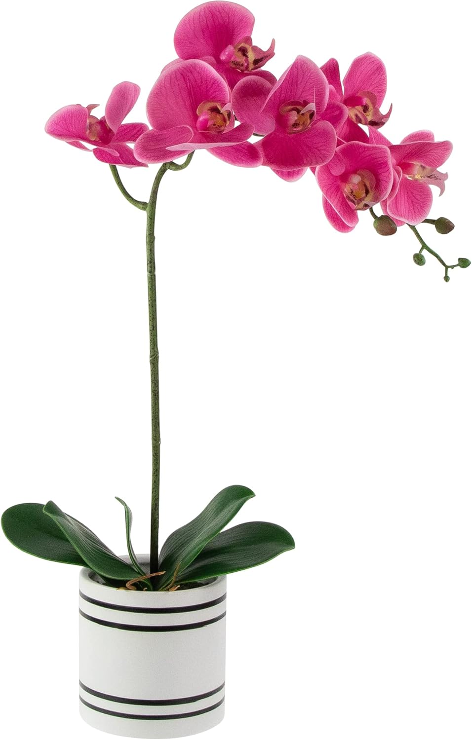 Northlight Real Touch Artificial Spring Orchids 2 Feet Pink