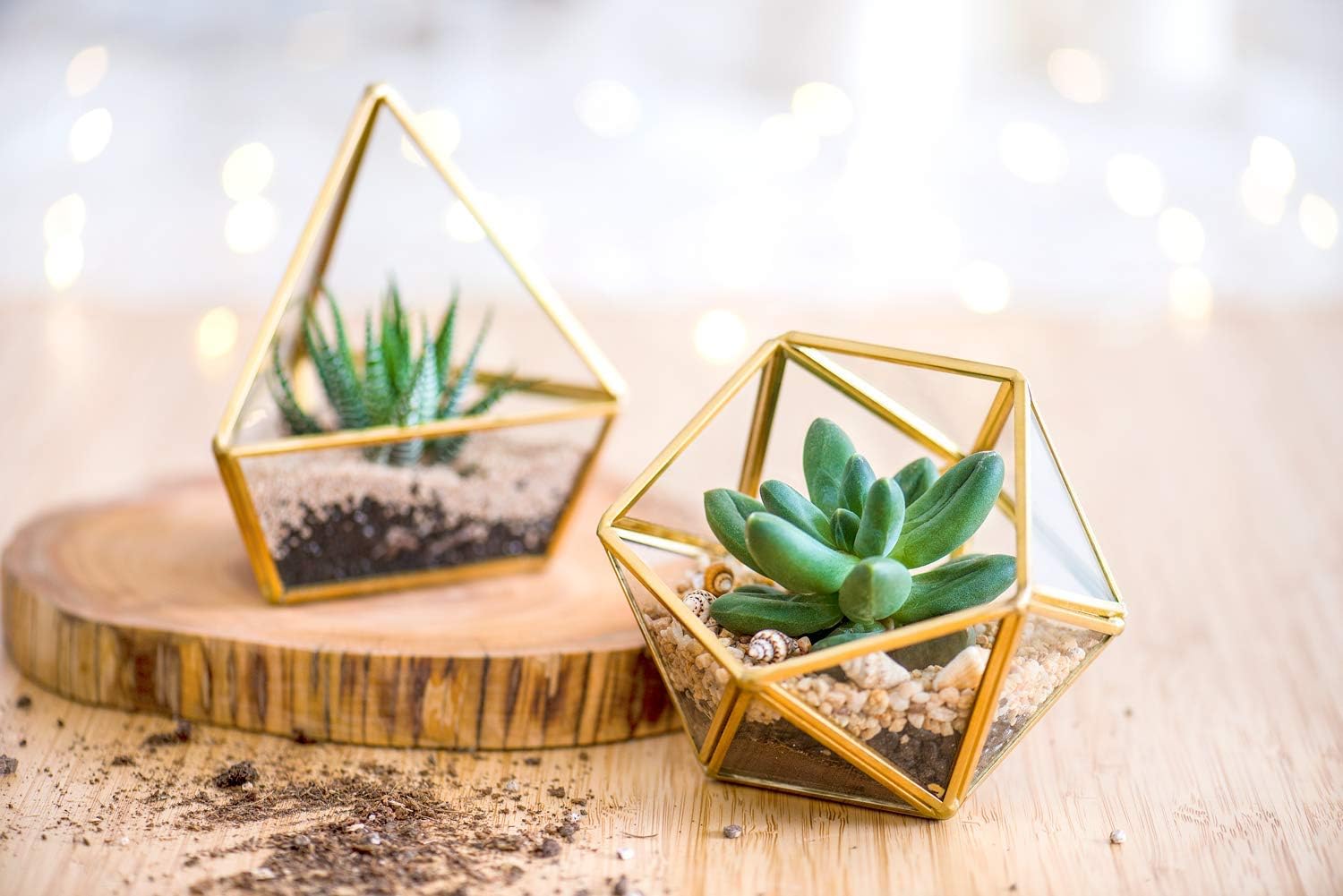 Mkono Artificial Succulent in Clear Glass Pot