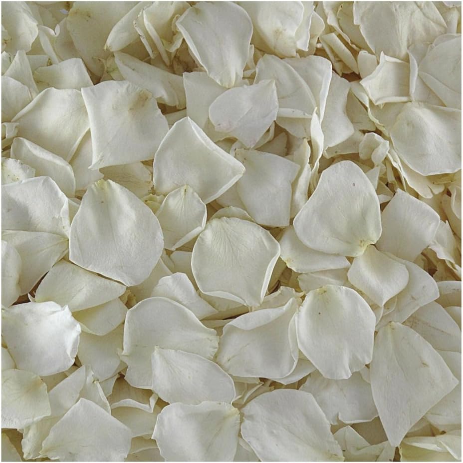 Cream Ivory Rose Petals 30 Cups Freeze-Dried