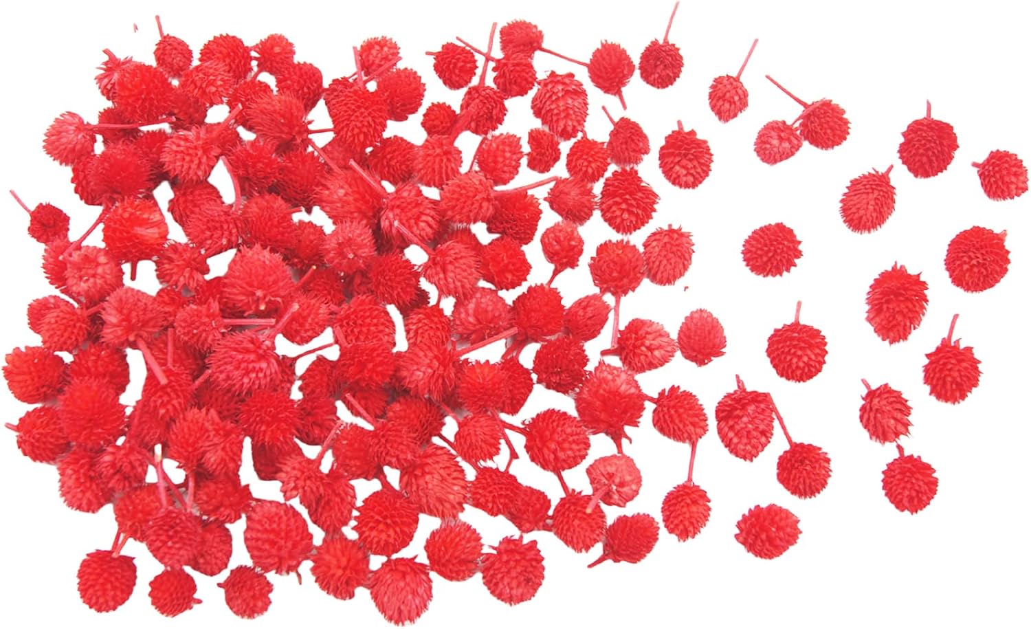 JOJAZE 100 Pcs Dried Flower Heads for Crafts Red Globe Dried Flowers
