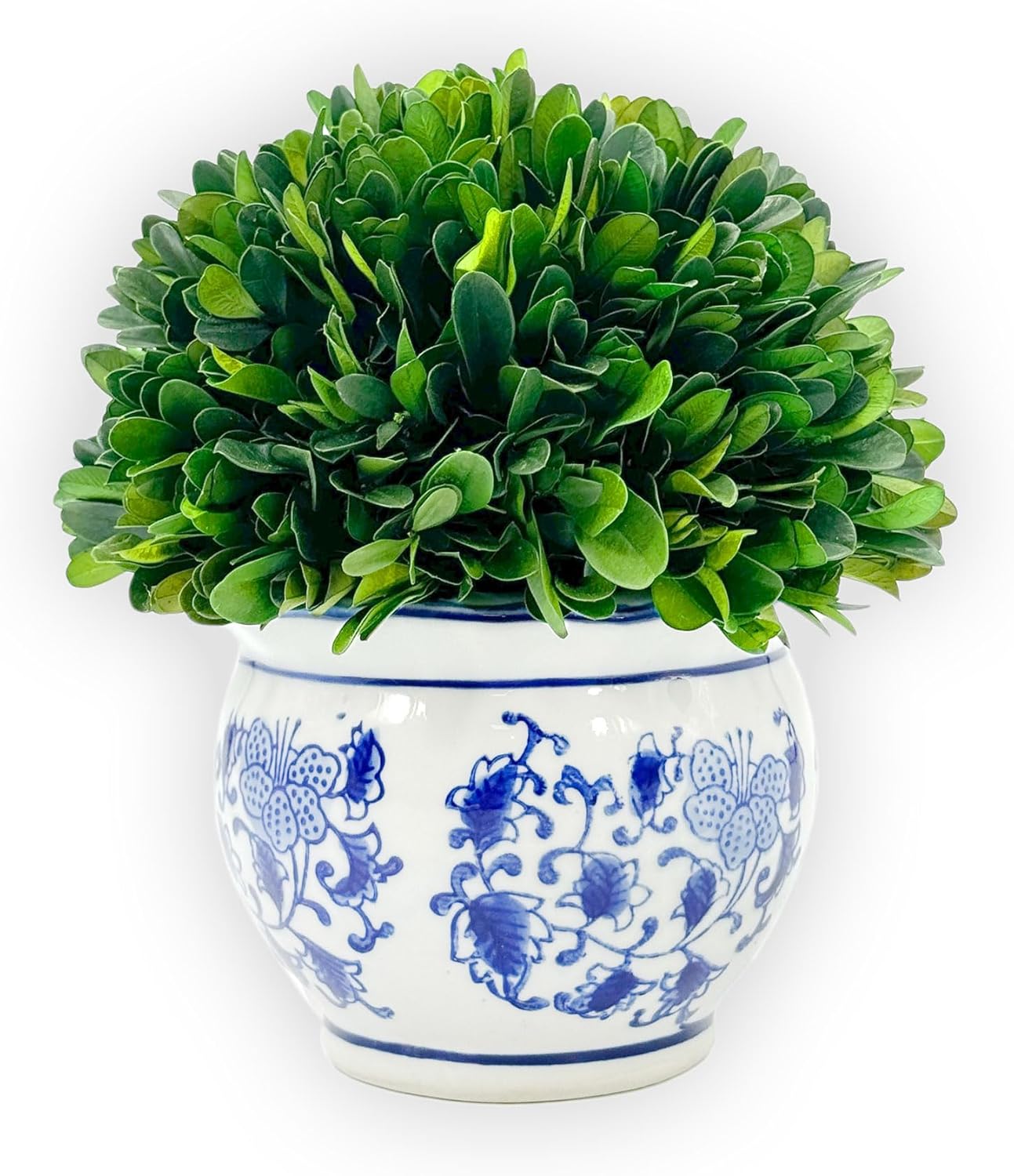 Galt International 7 Inch Preserved Boxwood Ball in Blue White Pot Planter