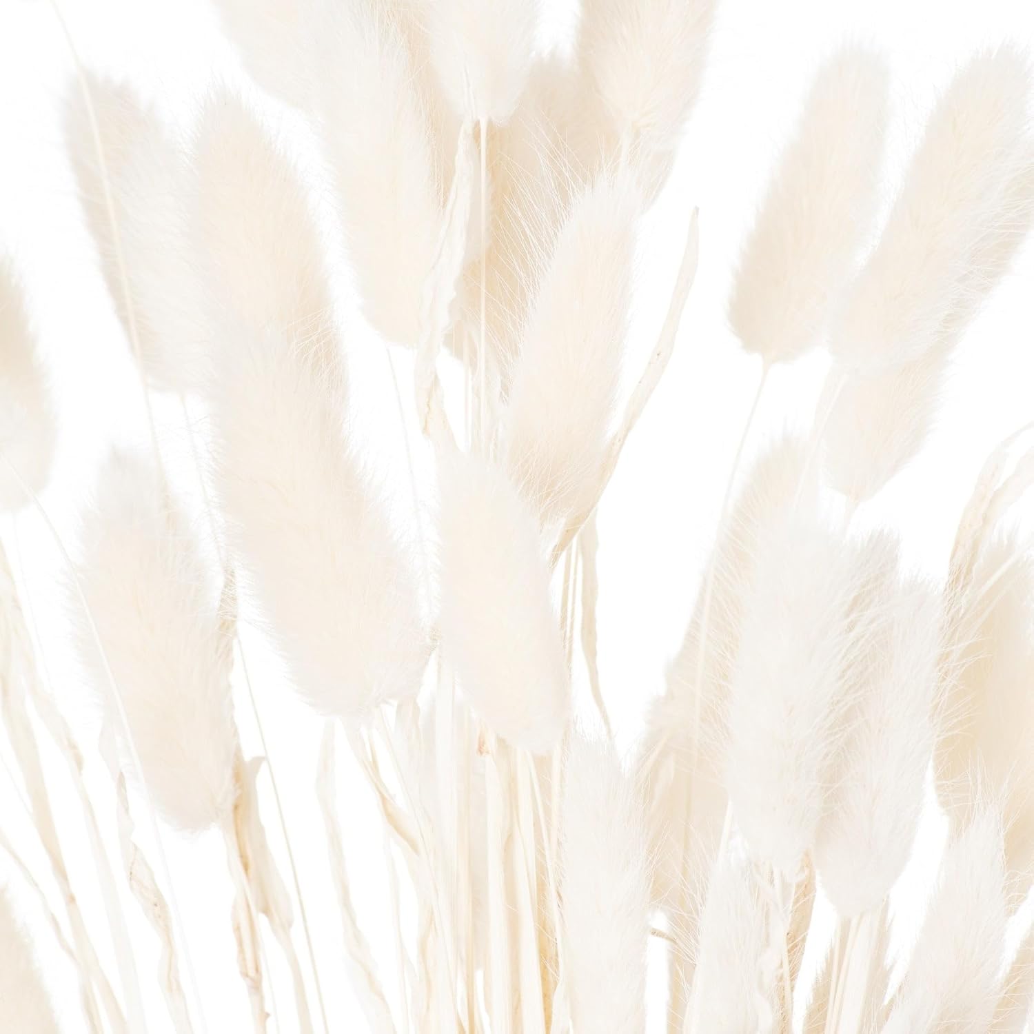Bunny Tail Artificial Flower Set of 60 White