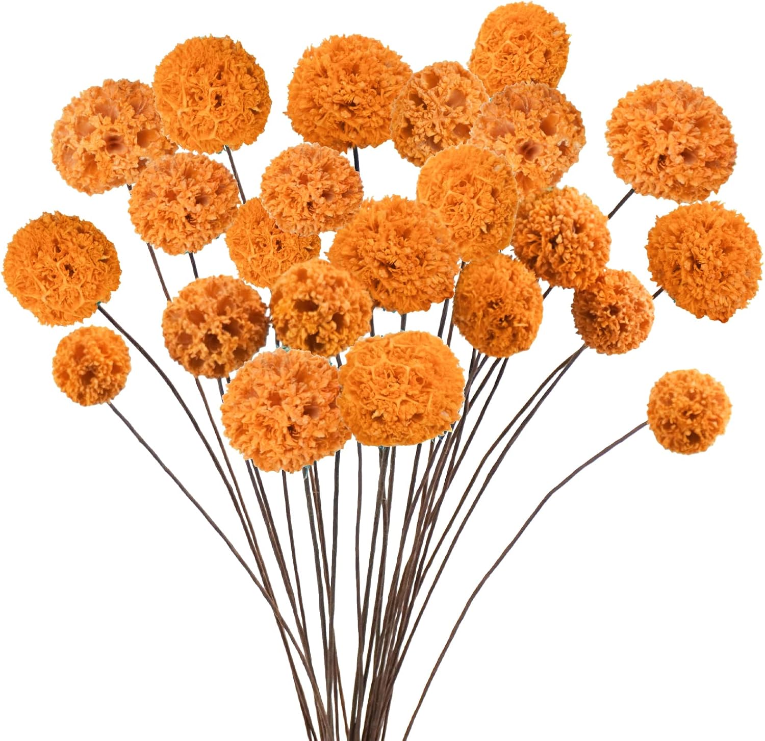 24 PCS Dried Billy Balls Flowers Orange Bouquet