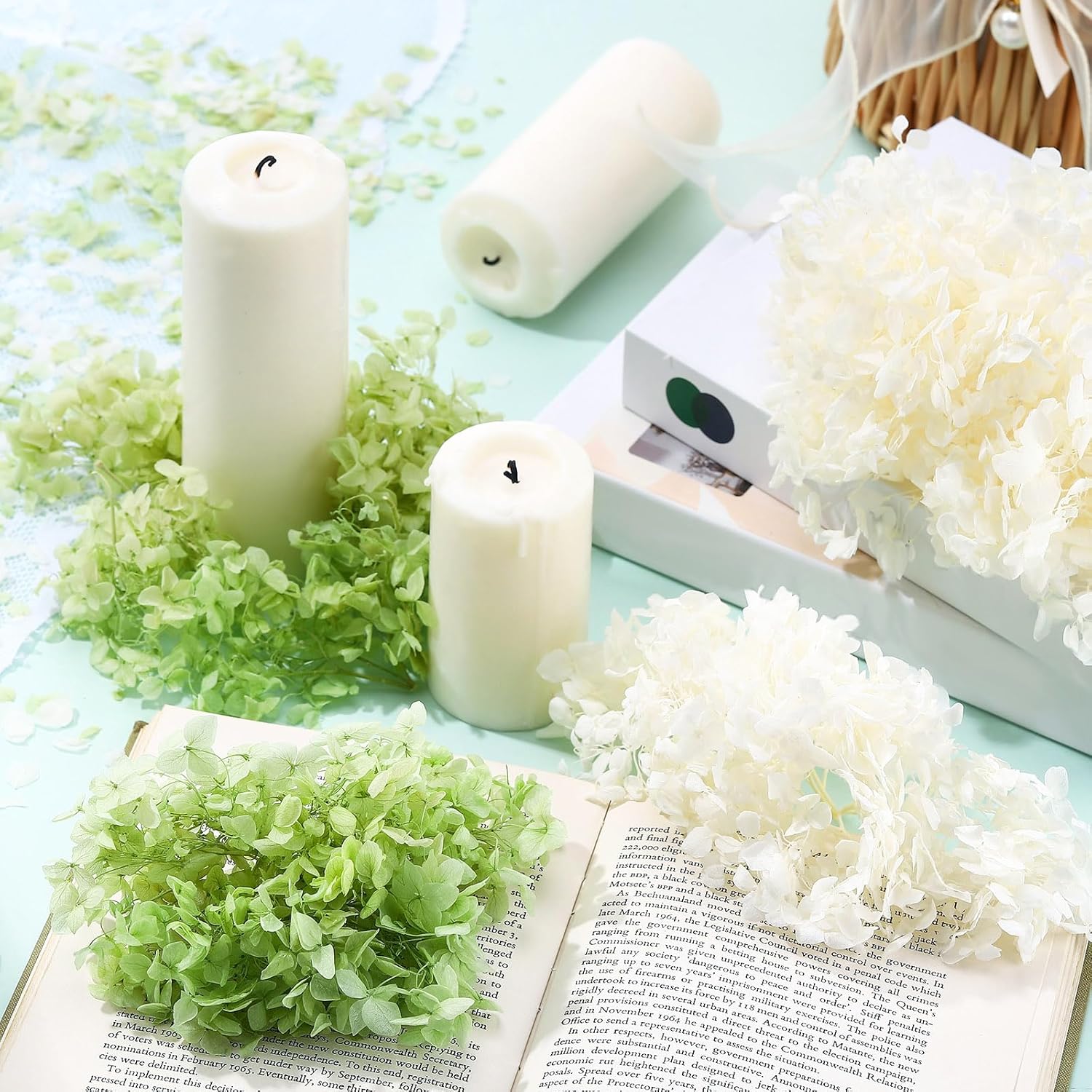 Real Dried Hydrangea Petals White and Green 21 Oz Pack