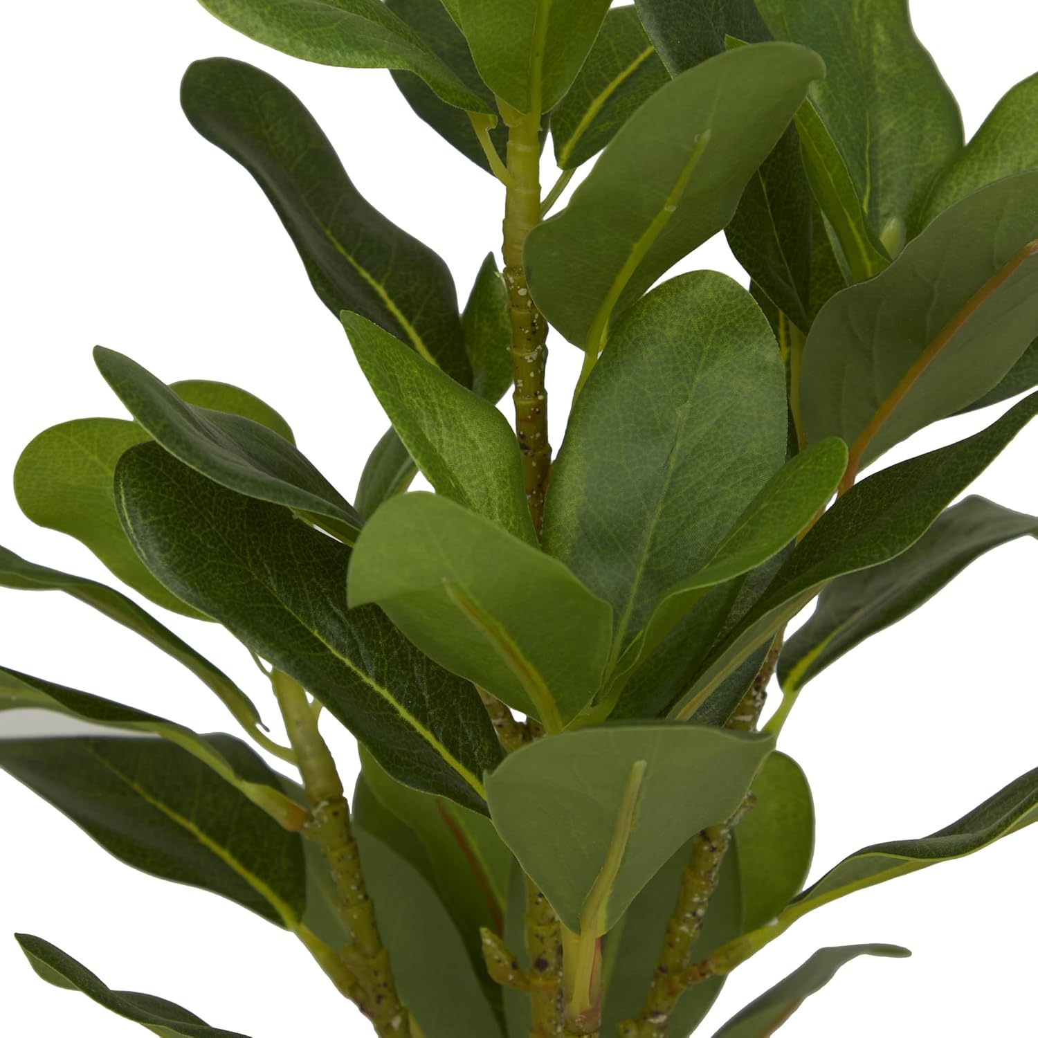 Deco 79 Artificial Bay Laurel Plant with Gold Porcelain Pot