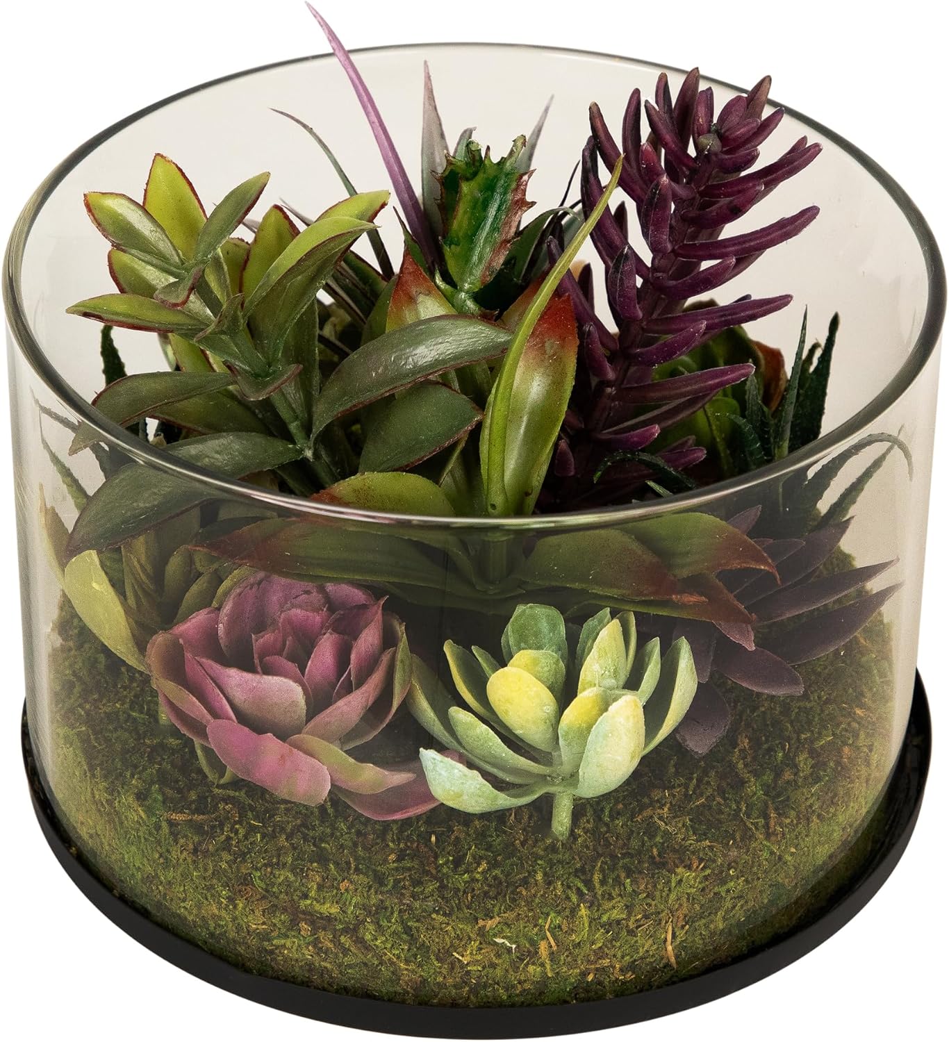 Northlight Artificial Mixed Succulent in 8 Round Glass Jar Green