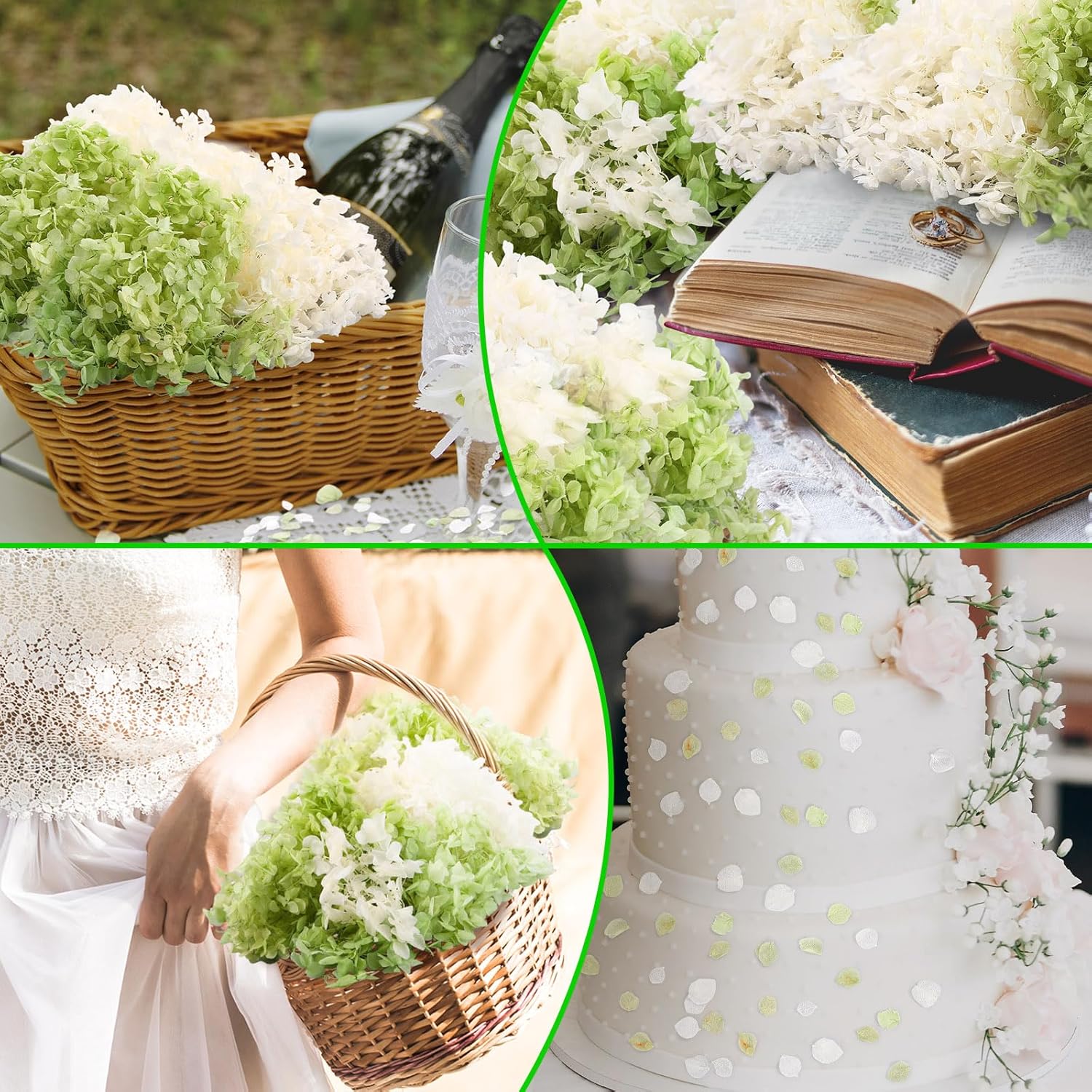 Real Dried Hydrangea Petals White and Green 21 Oz Pack