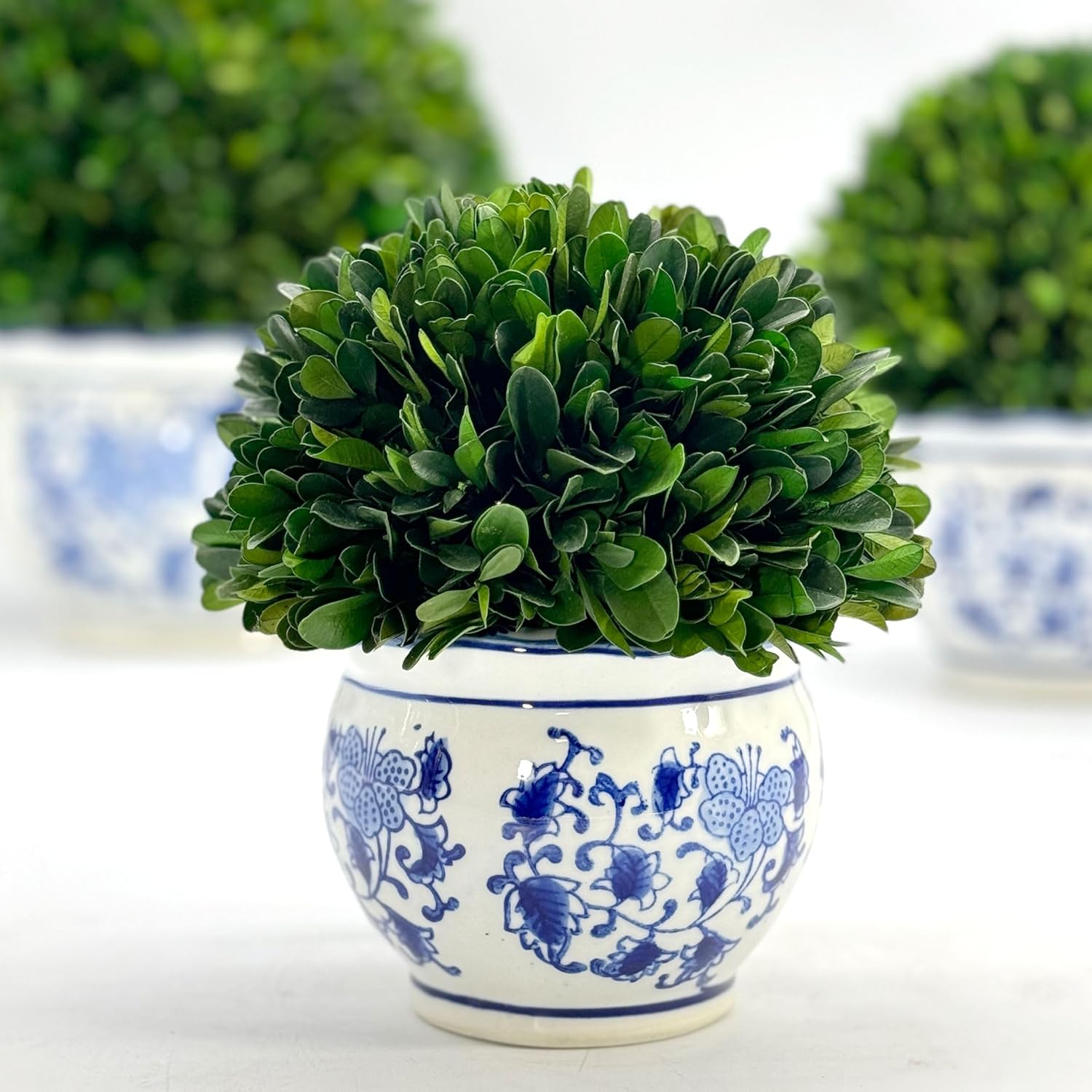 Galt International 7 Inch Preserved Boxwood Ball in Blue White Pot Planter