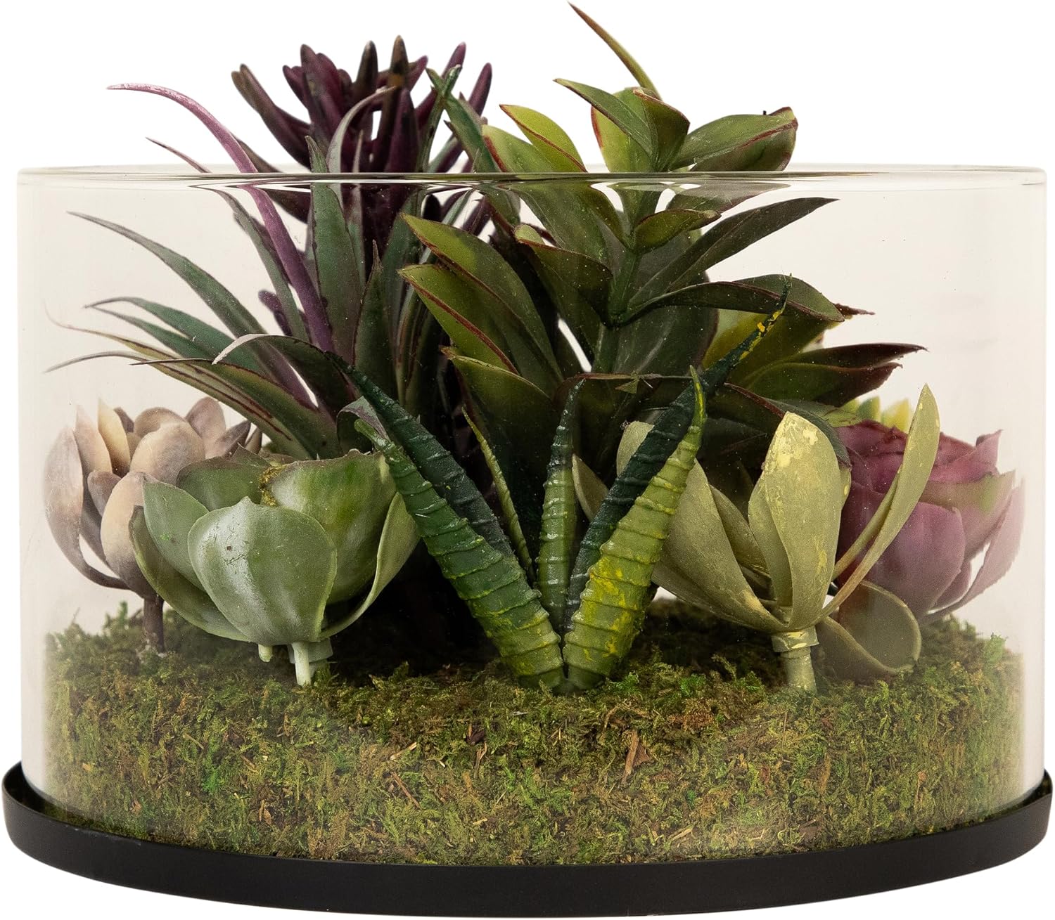Northlight Artificial Mixed Succulent in 8 Round Glass Jar Green