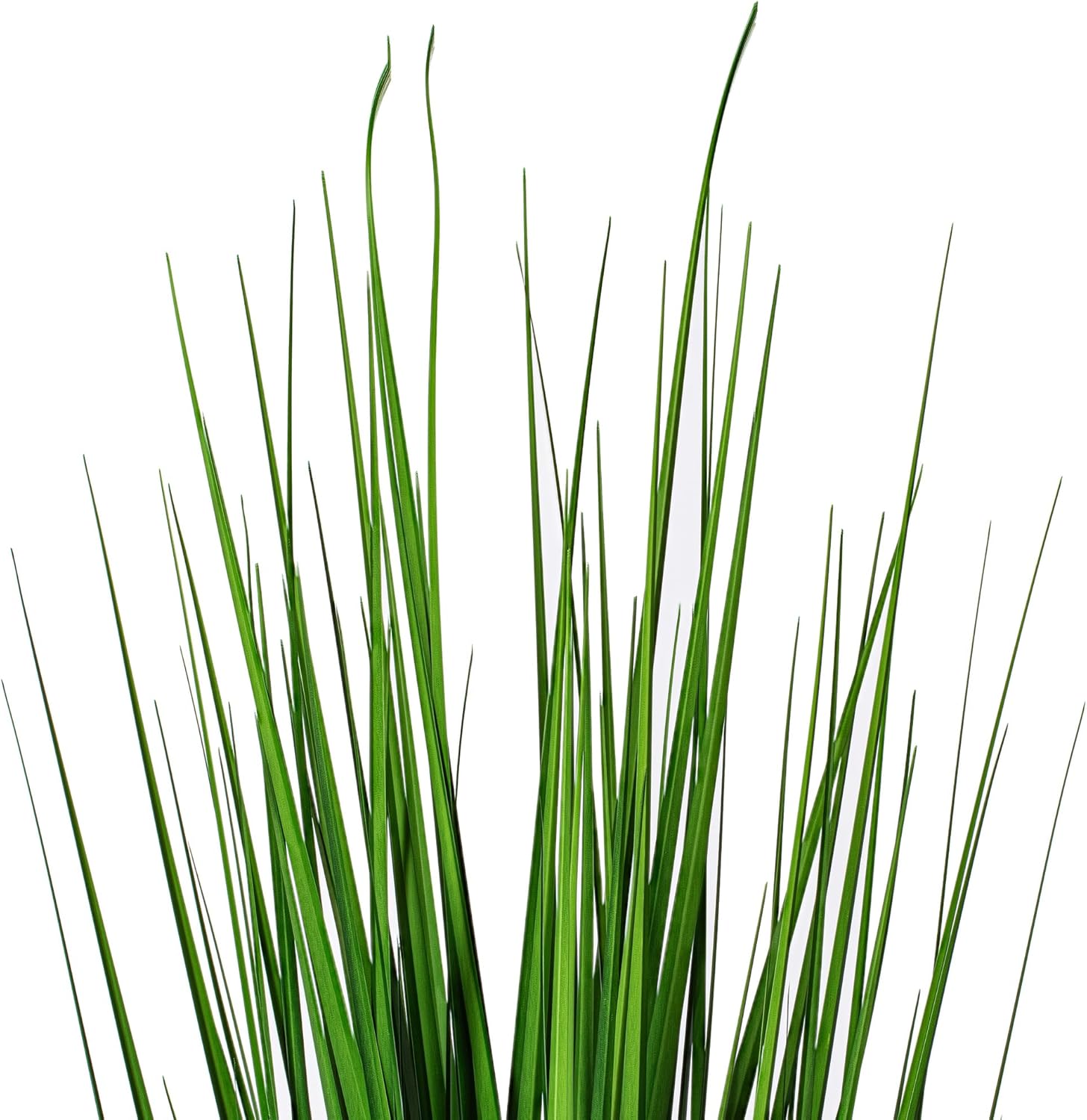 Vickerman 36 Inch Artificial Extra Full Green Grass with Black Pot