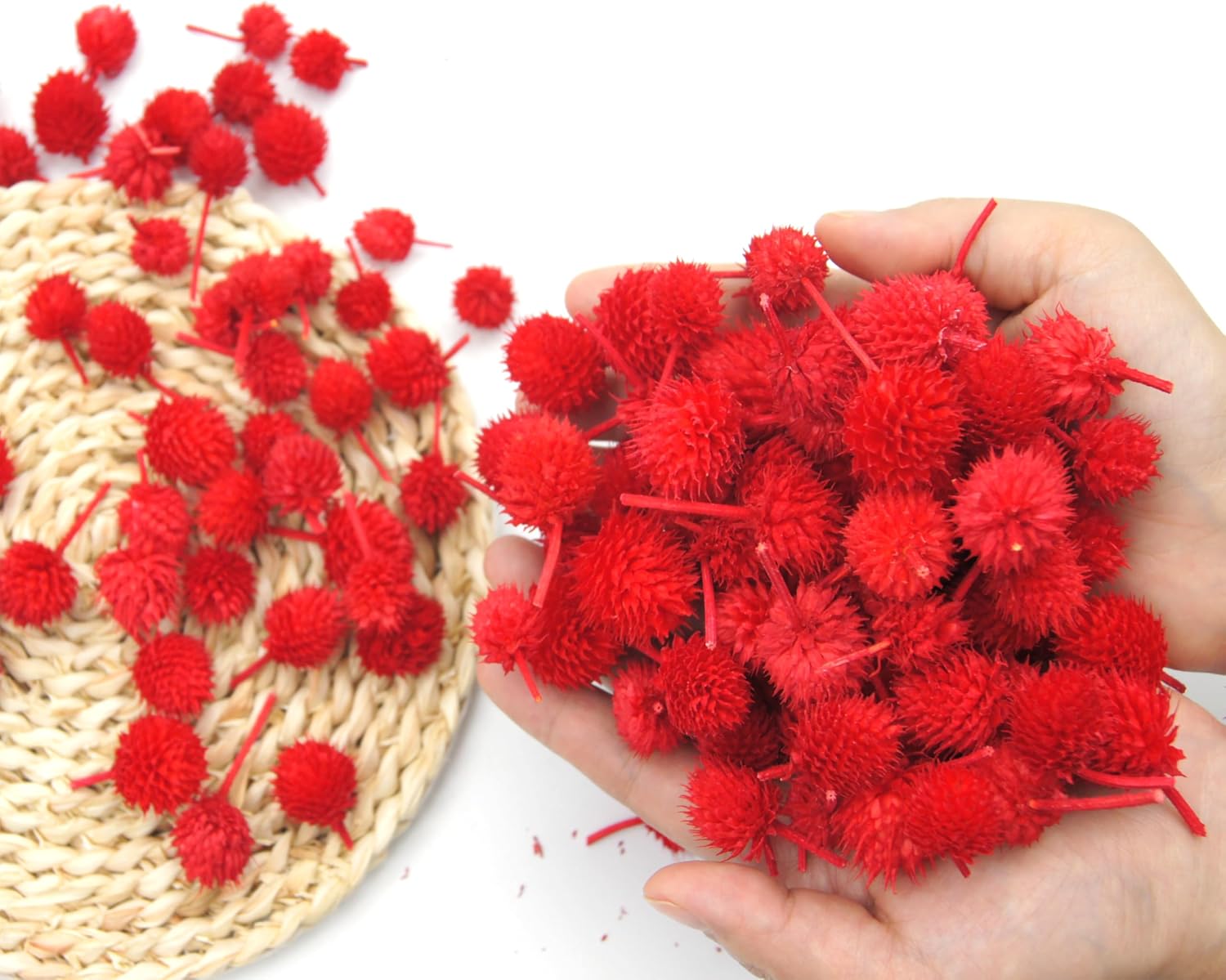 JOJAZE 100 Pcs Dried Flower Heads for Crafts Red Globe Dried Flowers