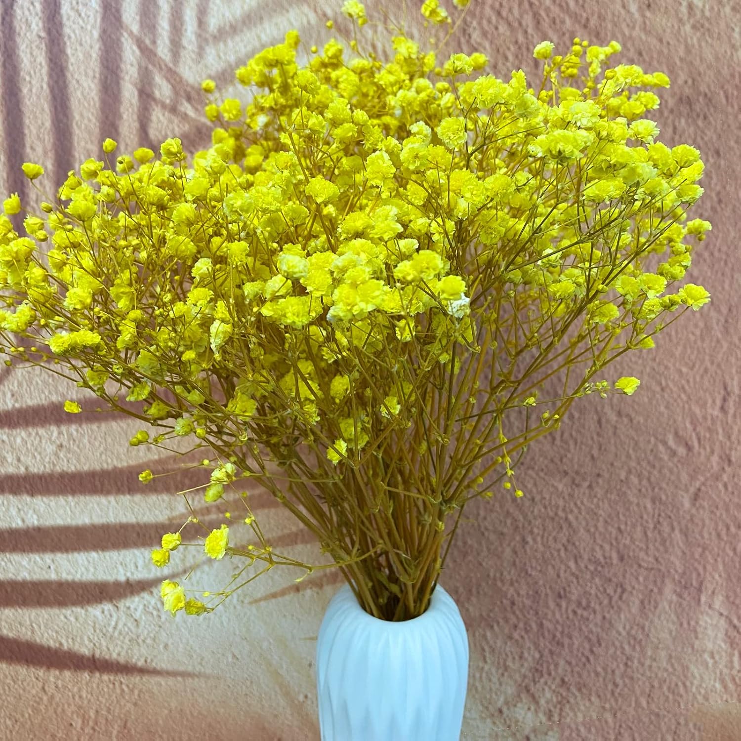 Preserved Babys Breath Flowers 3 Bunches Yellow for Decor