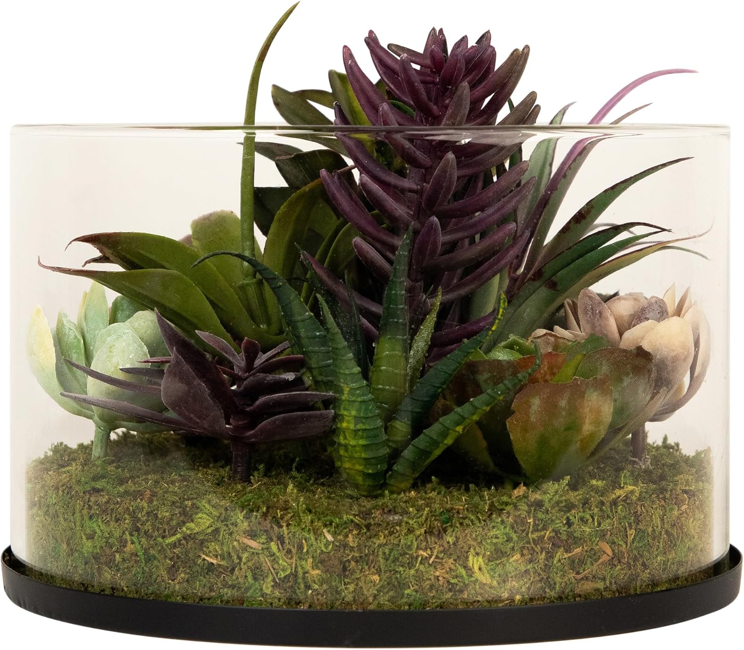 Northlight Artificial Mixed Succulent in 8 Round Glass Jar Green