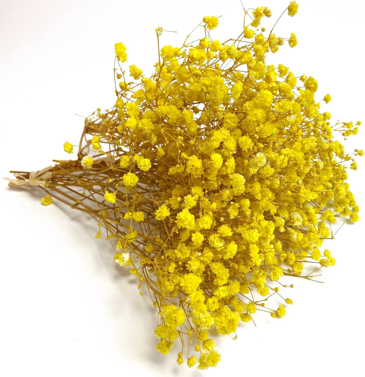 Preserved Babys Breath Flowers 3 Bunches Yellow for Decor