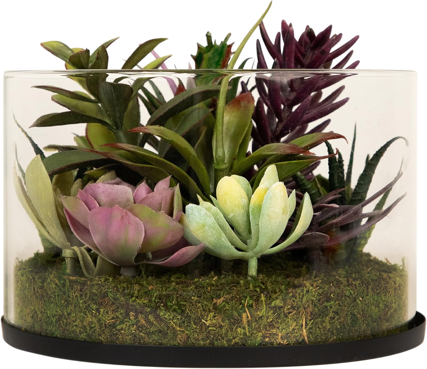Northlight Artificial Mixed Succulent in 8 Round Glass Jar Green