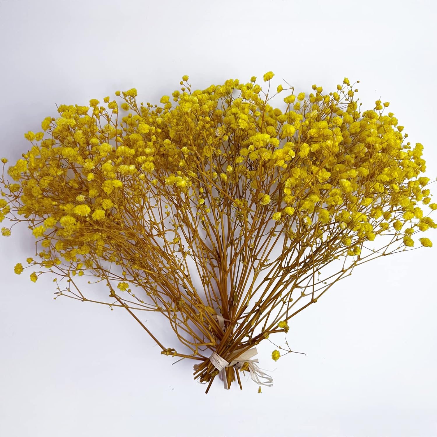 Preserved Babys Breath Flowers 3 Bunches Yellow for Decor