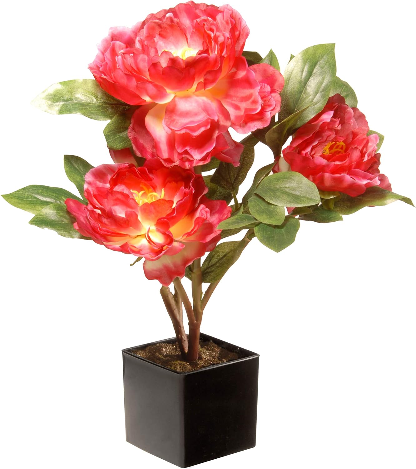 Fuchsia Peony Artificial Flowers with Ceramic Pot Base