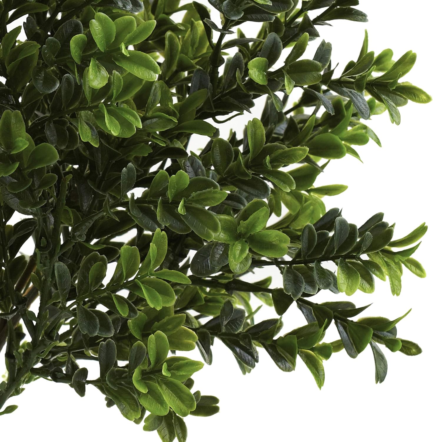 Nearly Natural Sweet Grass Bush Set of 6 Green
