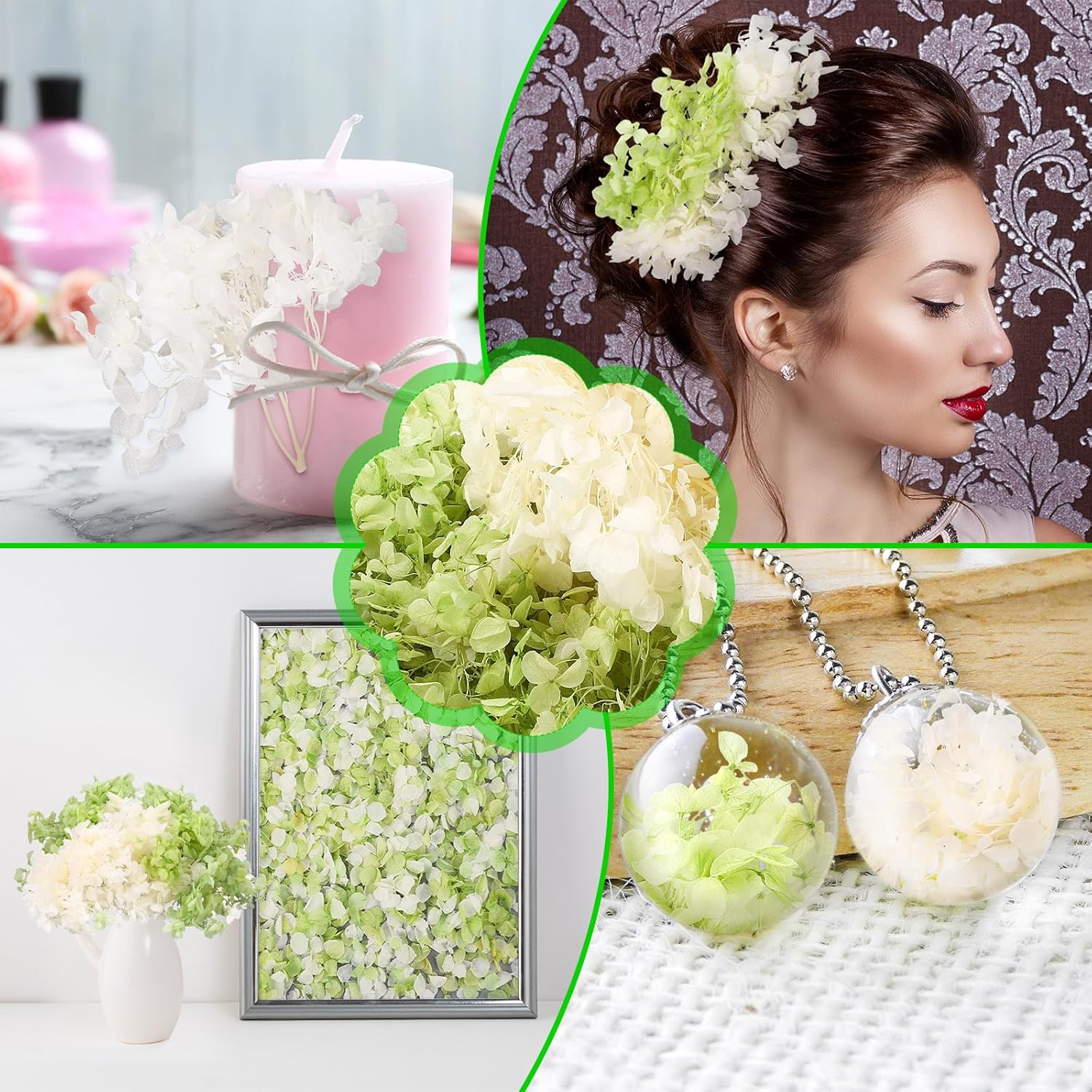 Real Dried Hydrangea Petals White and Green 21 Oz Pack