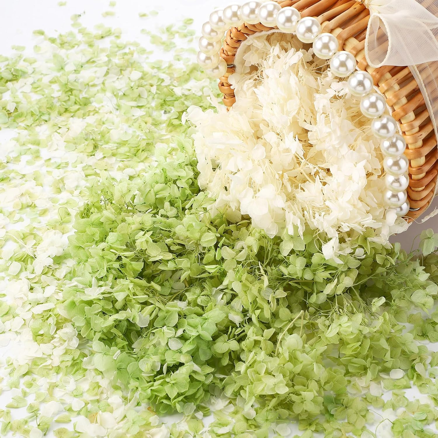 Real Dried Hydrangea Petals White and Green 21 Oz Pack