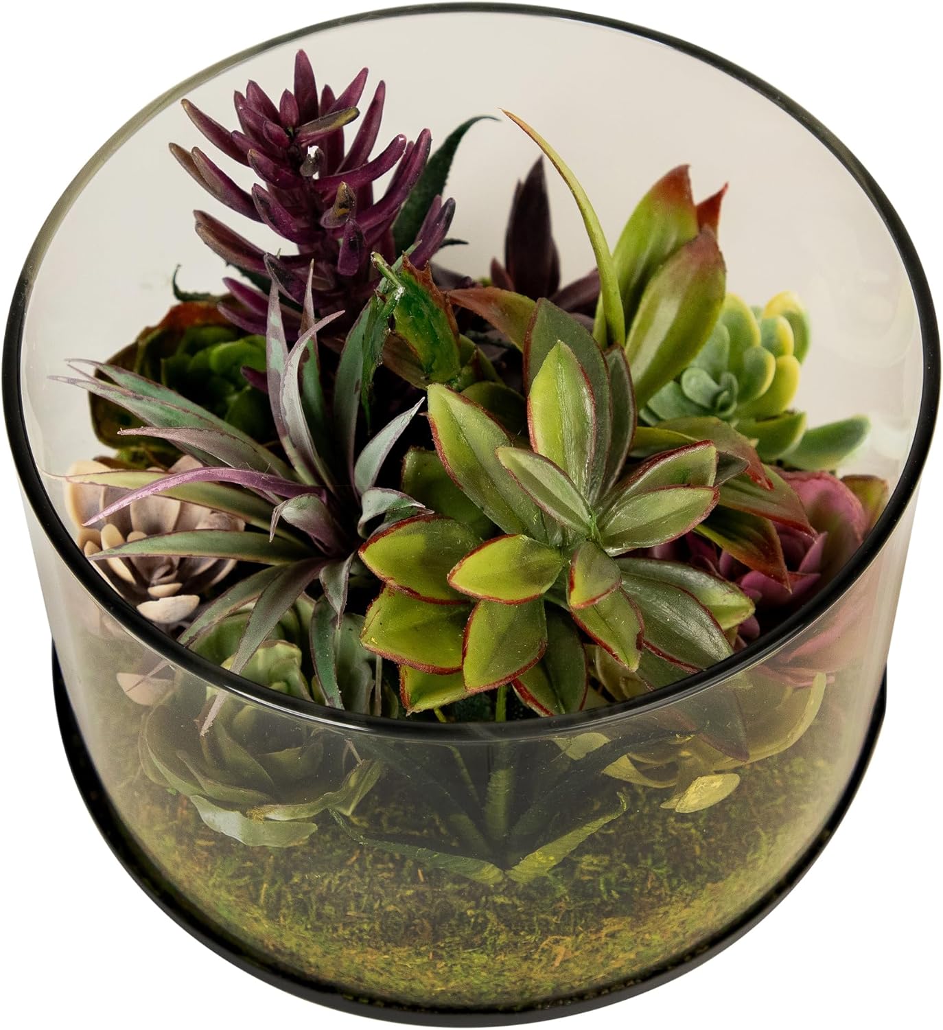Northlight Artificial Mixed Succulent in 8 Round Glass Jar Green