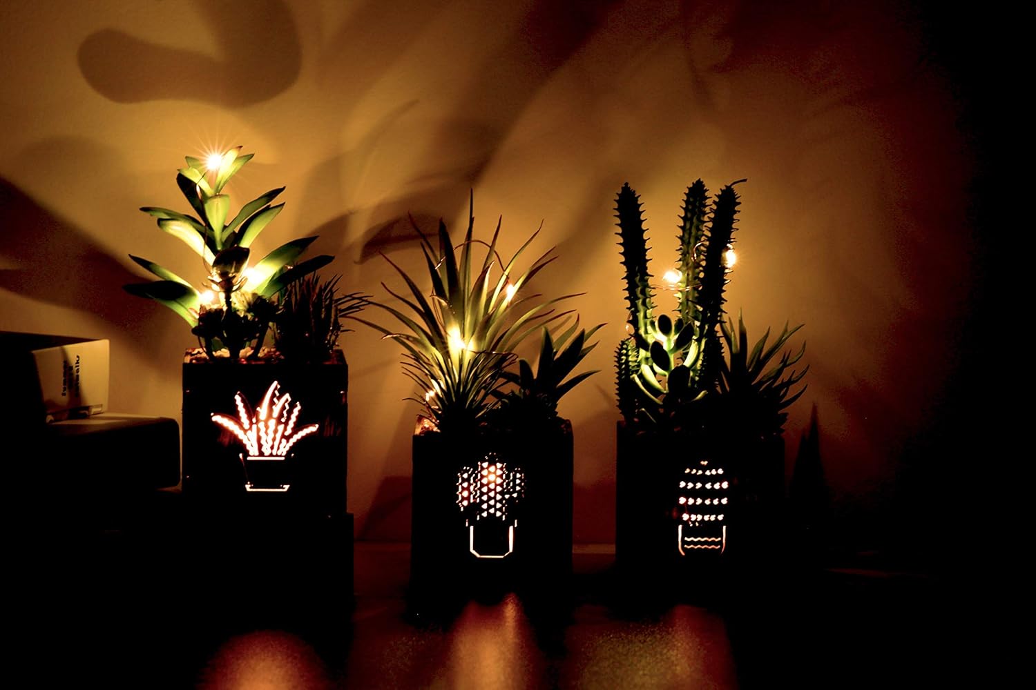BEGONDIS 3 Piece Artificial Succulent Set with LED Lights