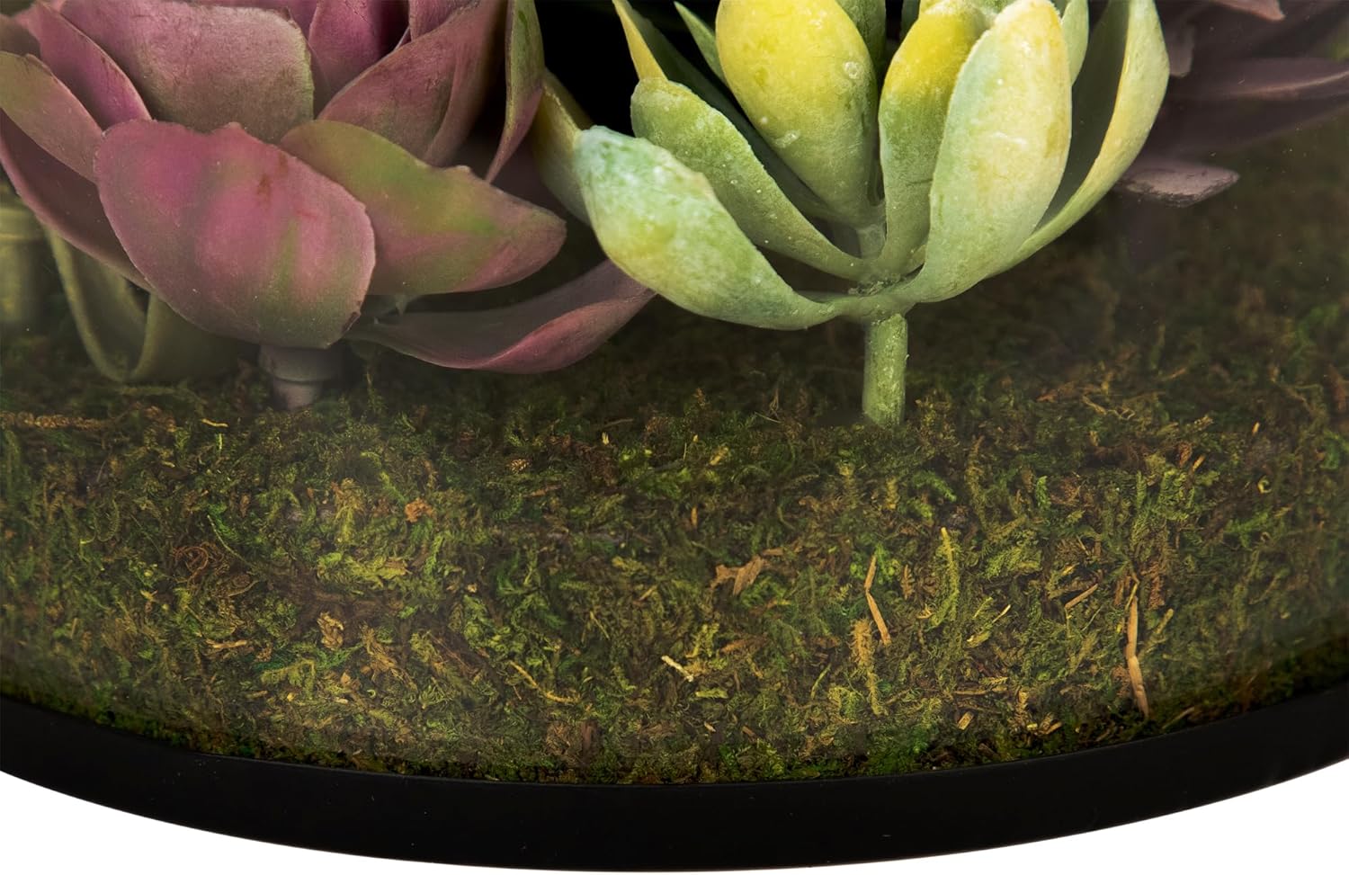 Northlight Artificial Mixed Succulent in 8 Round Glass Jar Green
